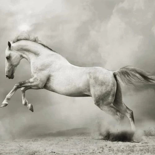 White Horse